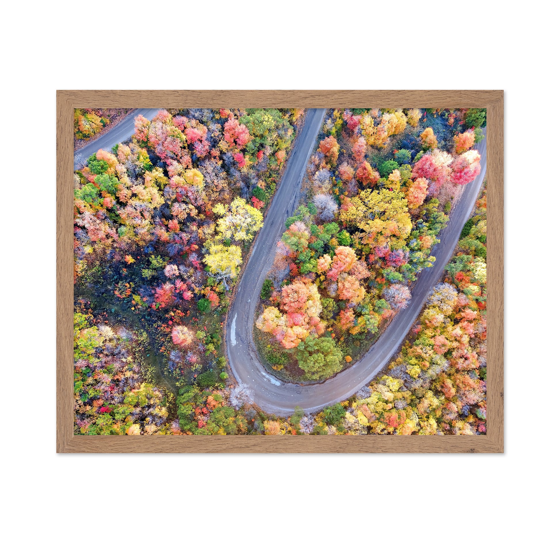 Winding Fall Road from Above