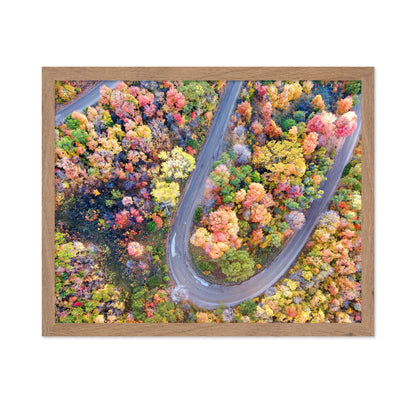 Winding Fall Road from Above