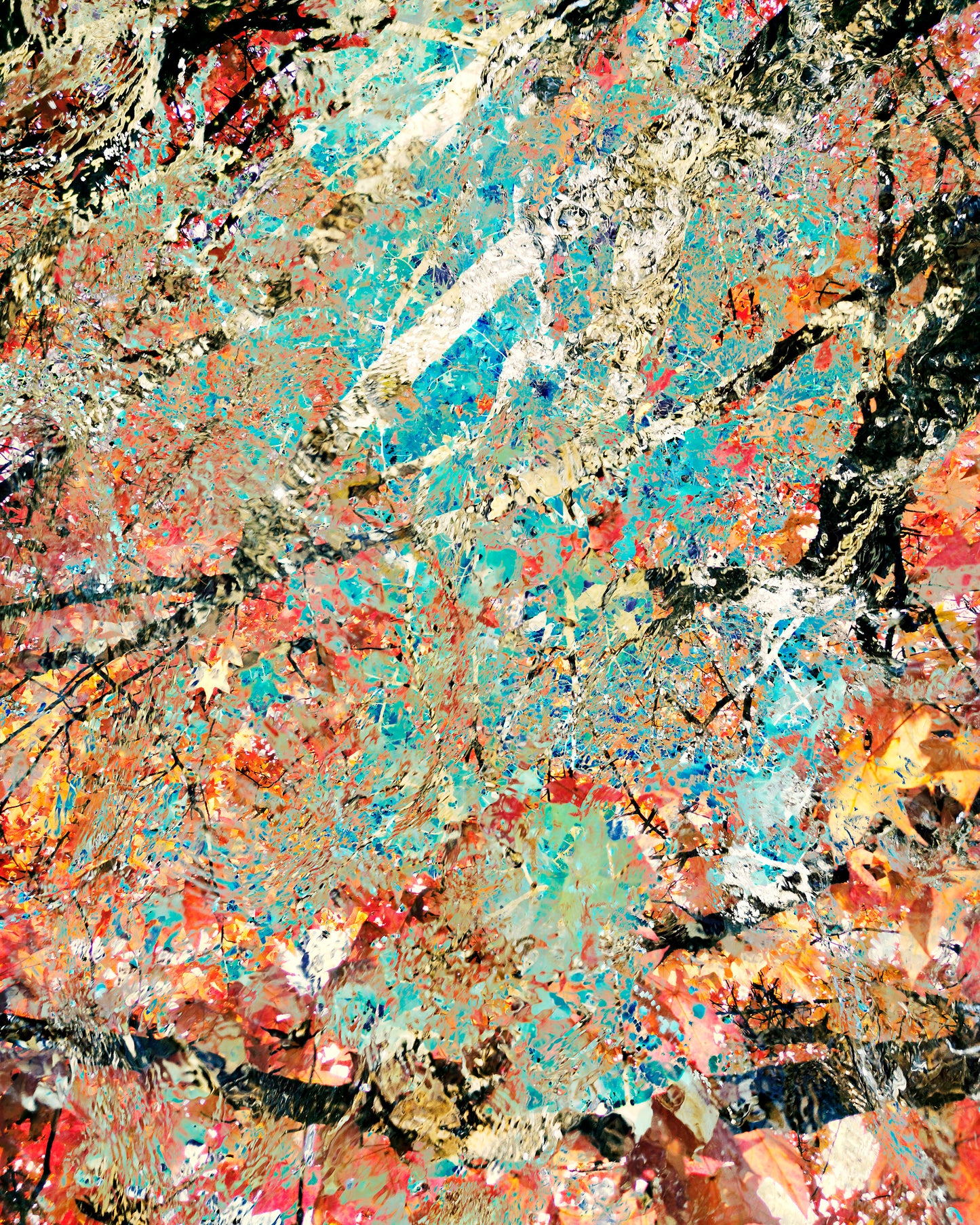 A Kaleidoscope of Color