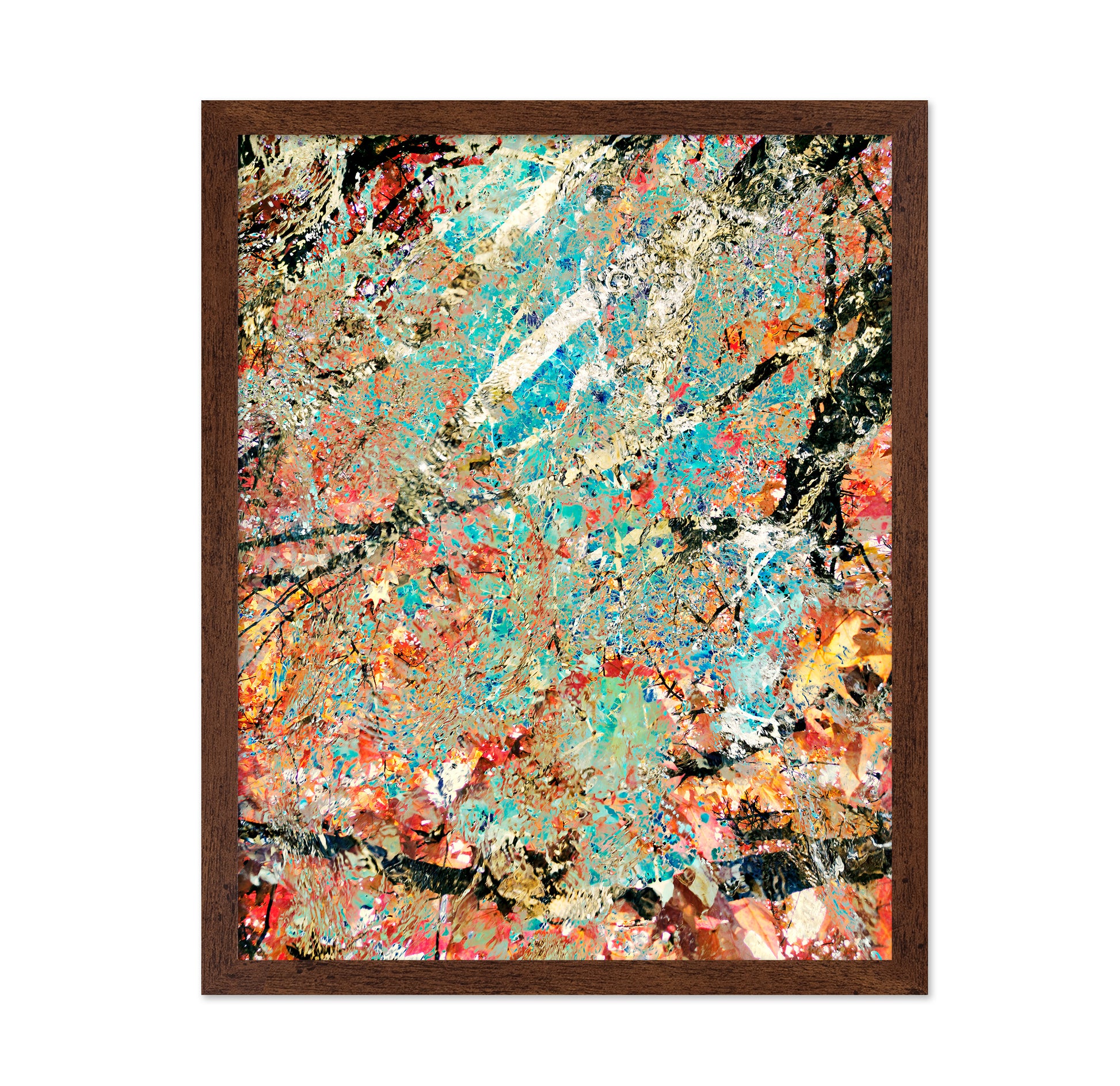 A Kaleidoscope of Color