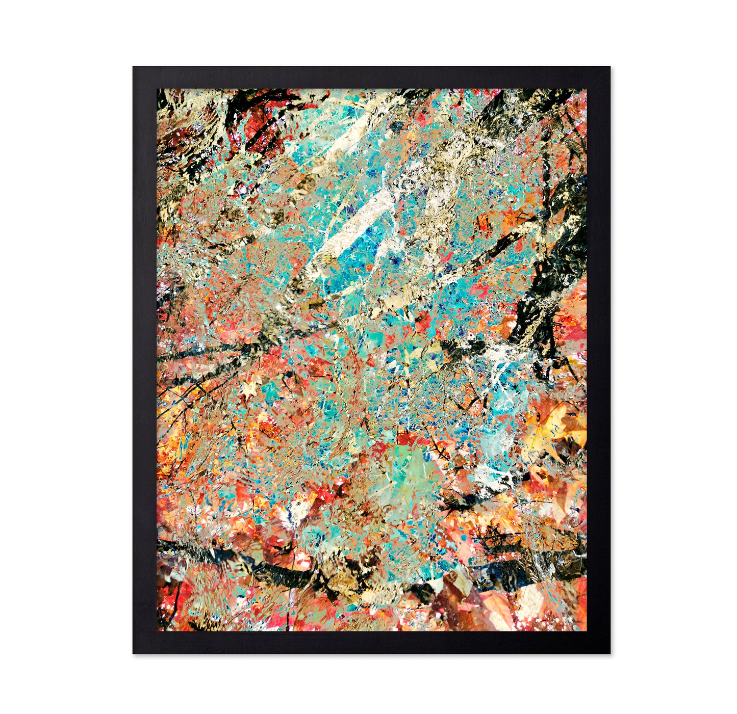 A Kaleidoscope of Color