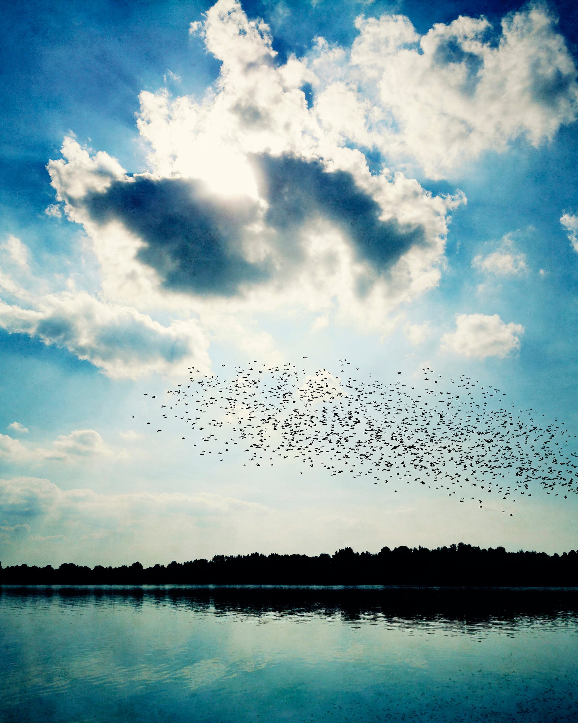 Horizon of Flight