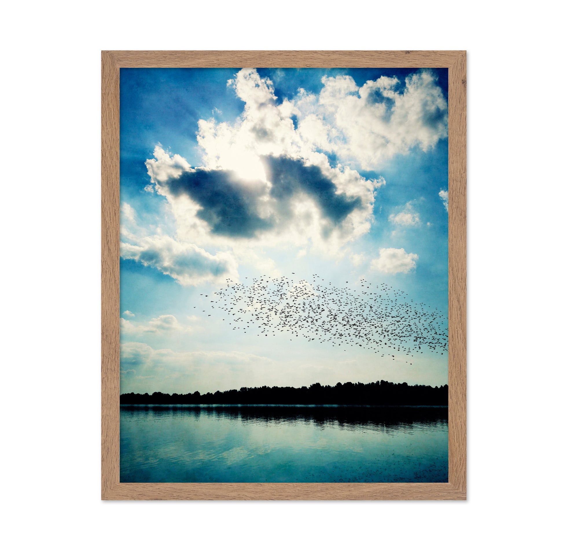 Horizon of Flight