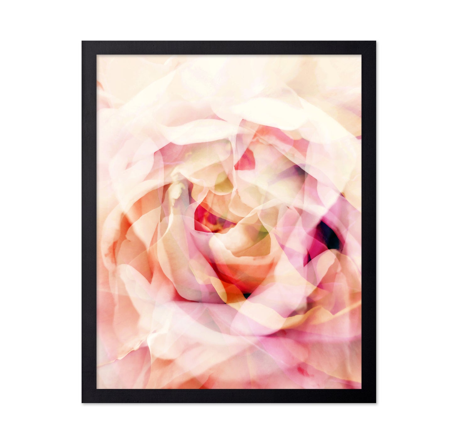Whispering Roses