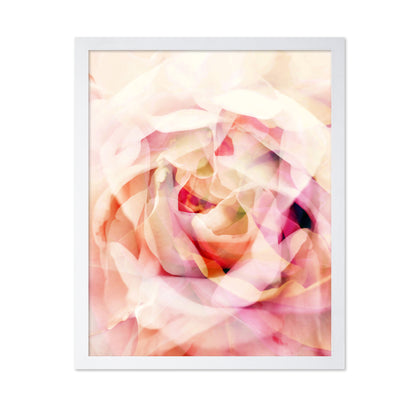 Whispering Roses