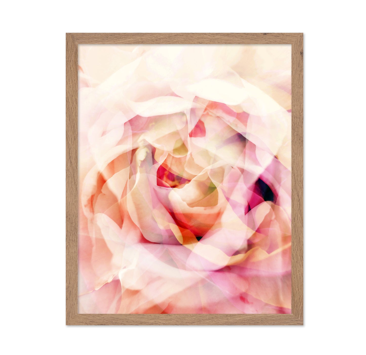 Whispering Roses