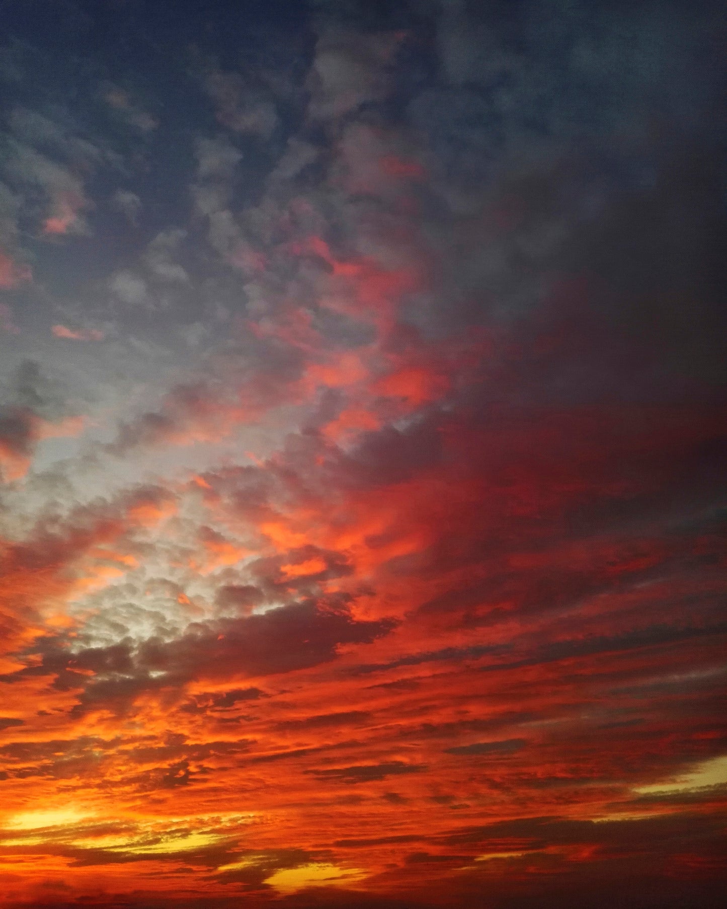 A Fire In the Sky