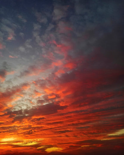 A Fire In the Sky