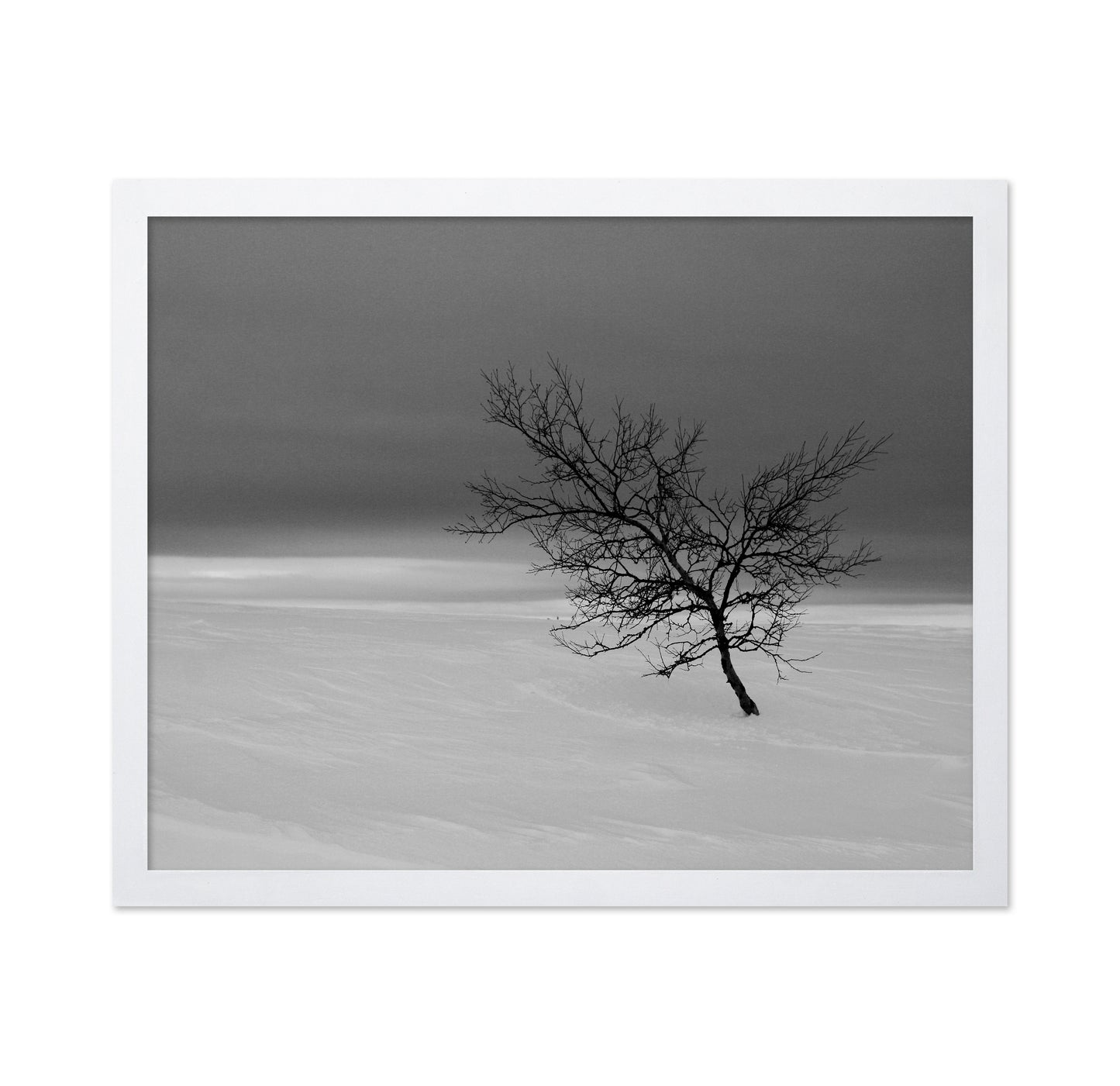 Solitude in White