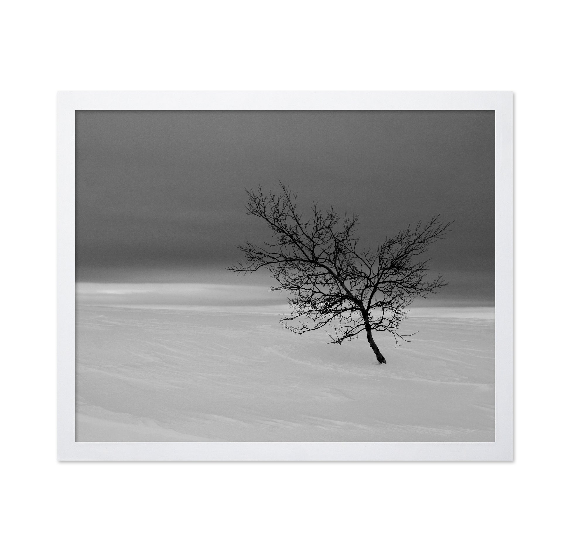 Solitude in White