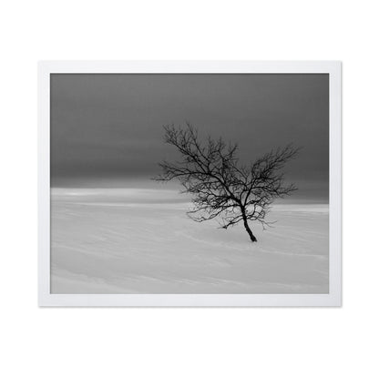 Solitude in White