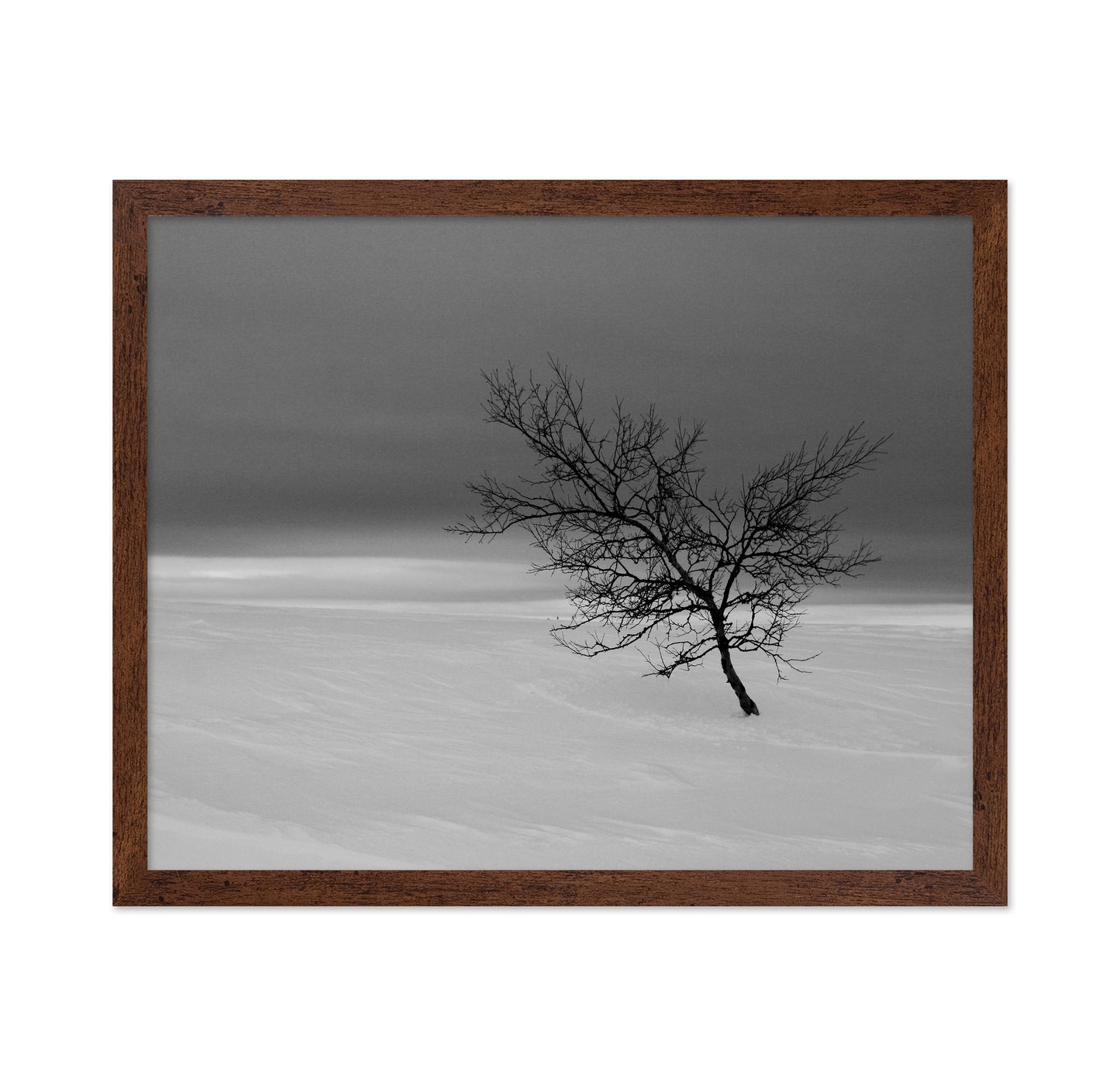 Solitude in White