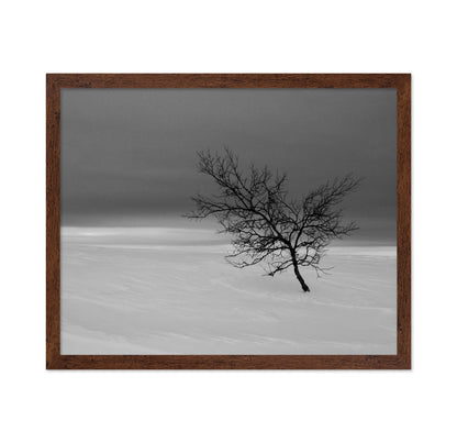 Solitude in White