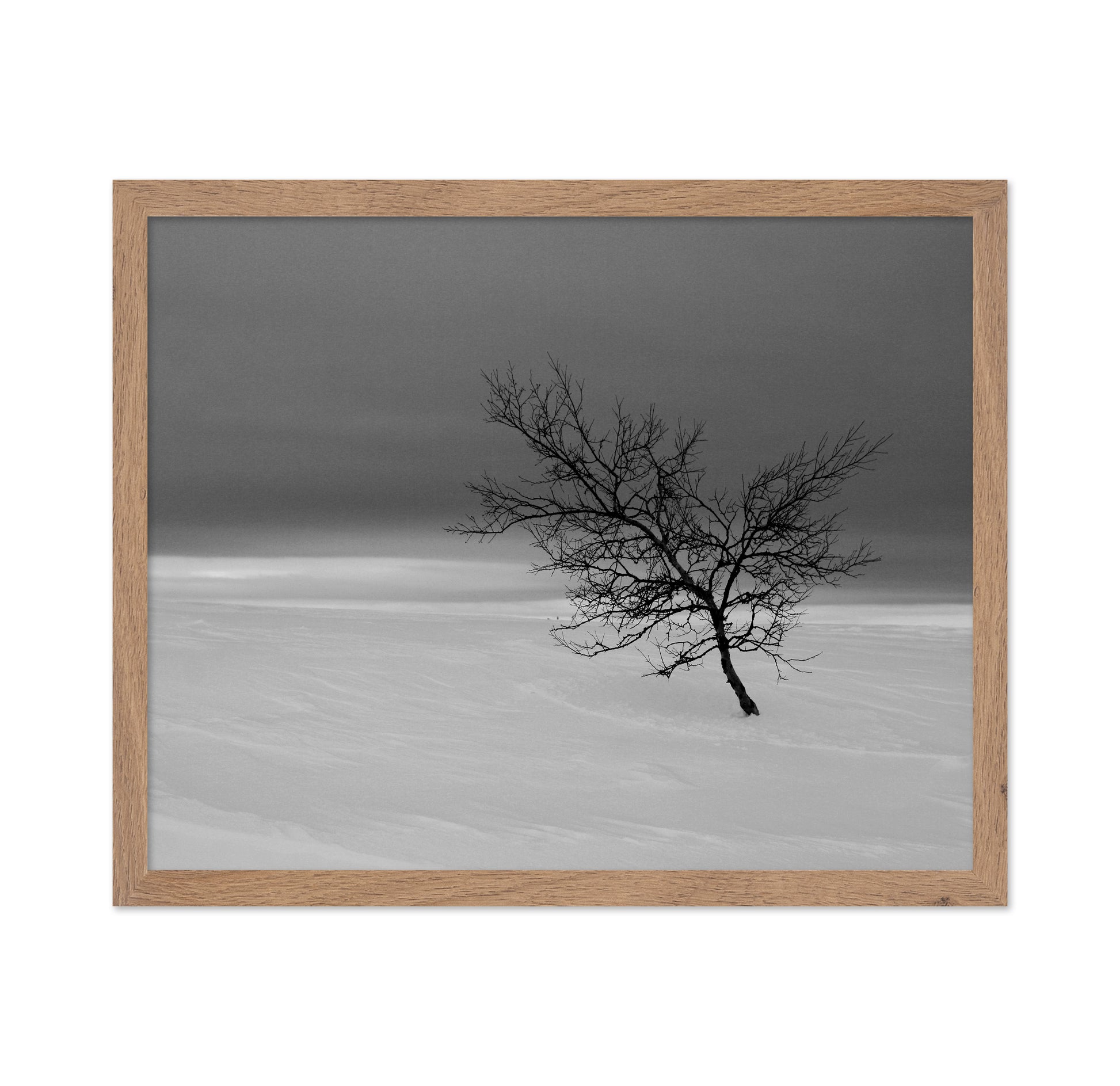 Solitude in White