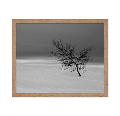 Solitude in White
