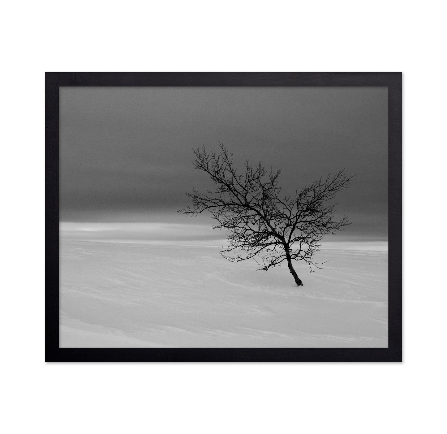 Solitude in White
