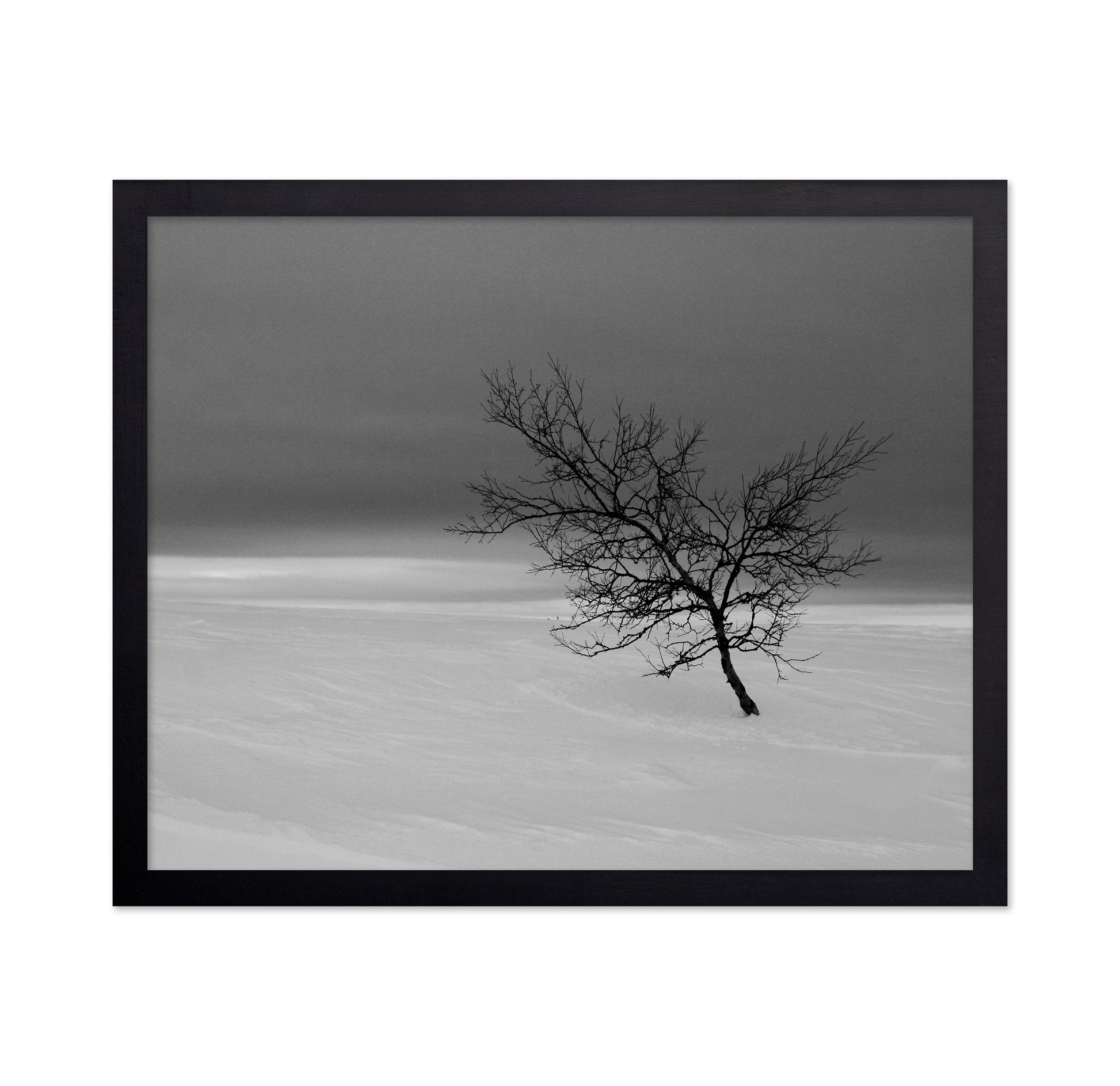 Solitude in White