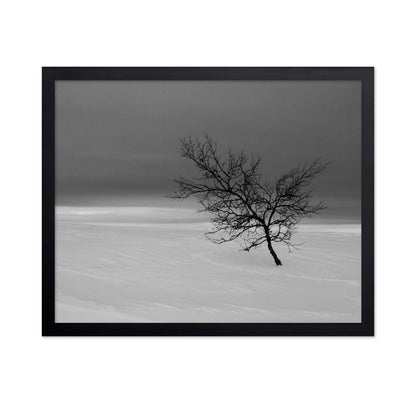 Solitude in White