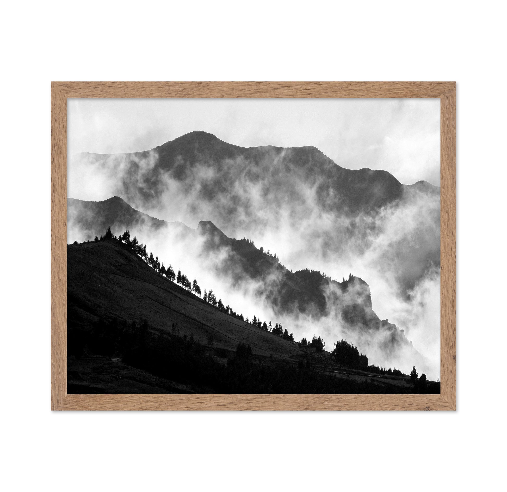The Andes