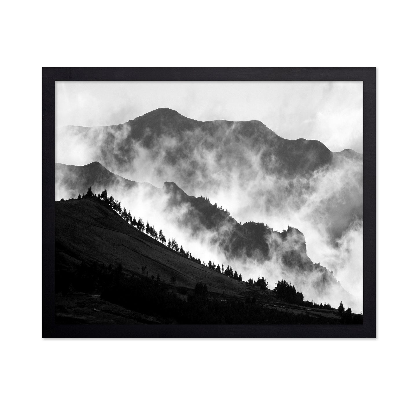 The Andes