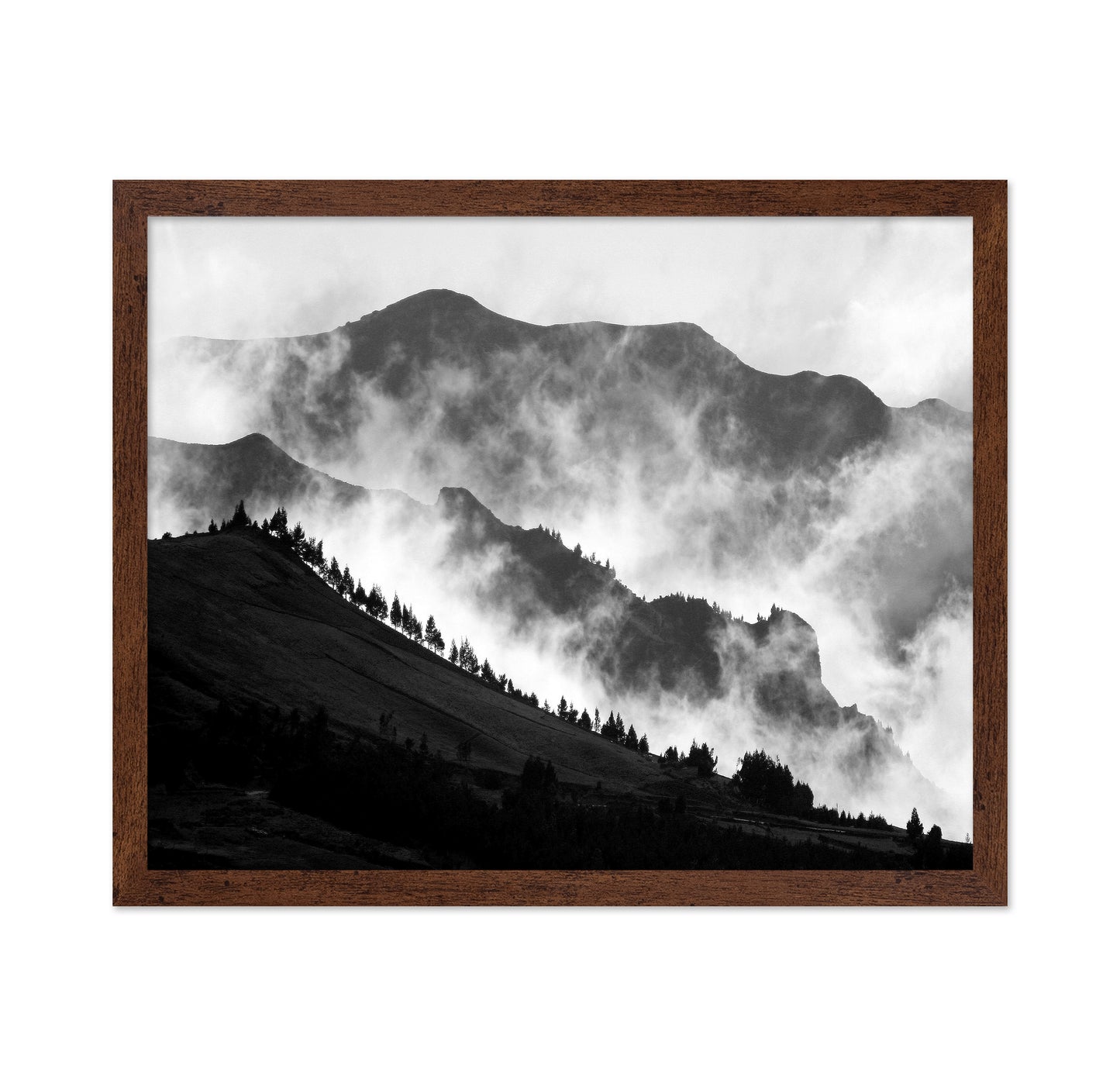 The Andes