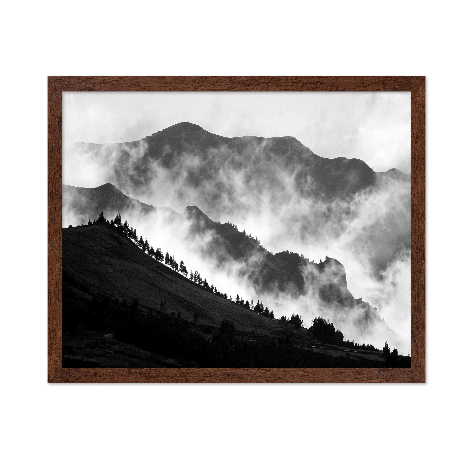 The Andes