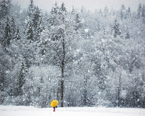 Let It Snow
