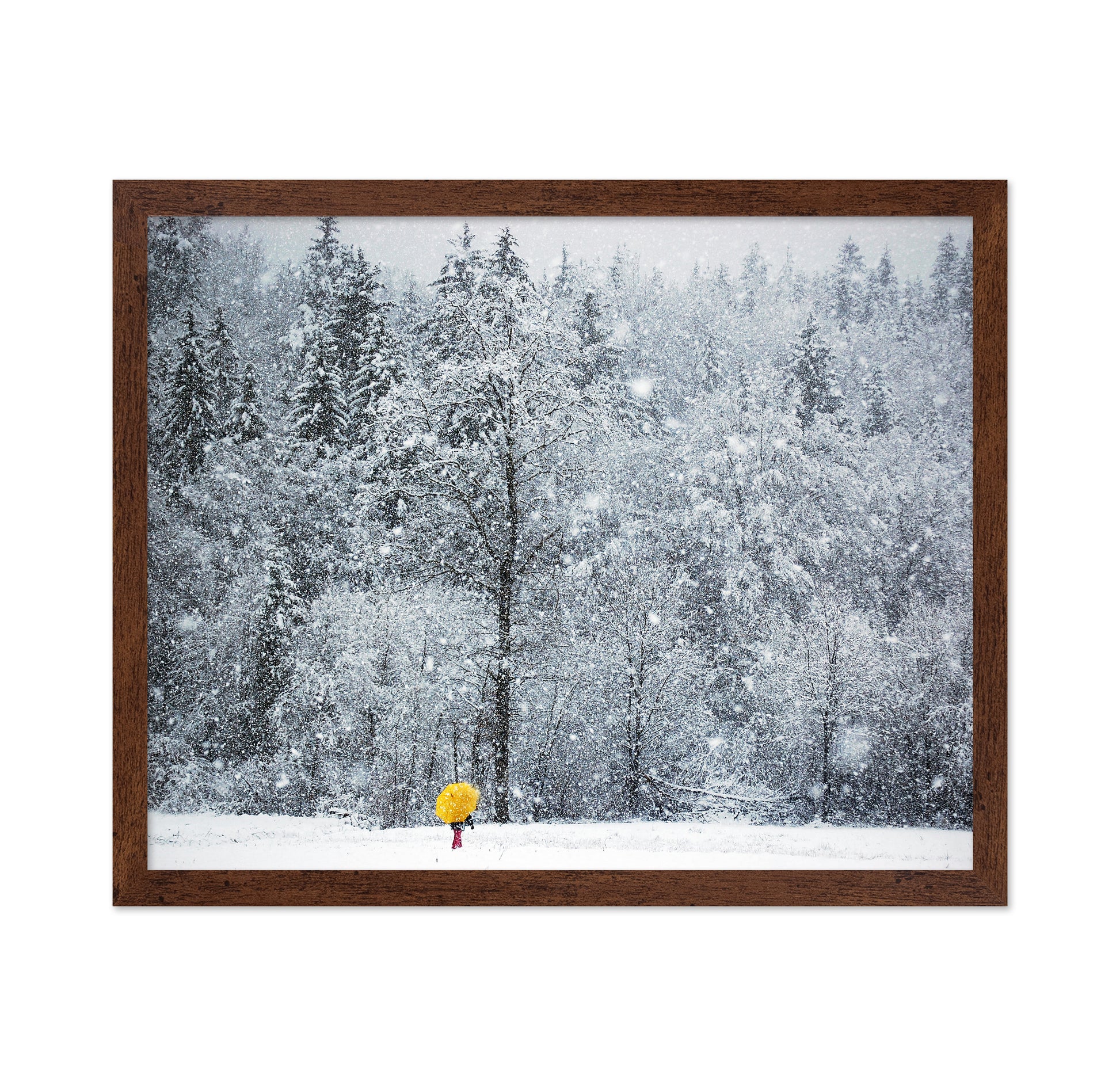 Let It Snow