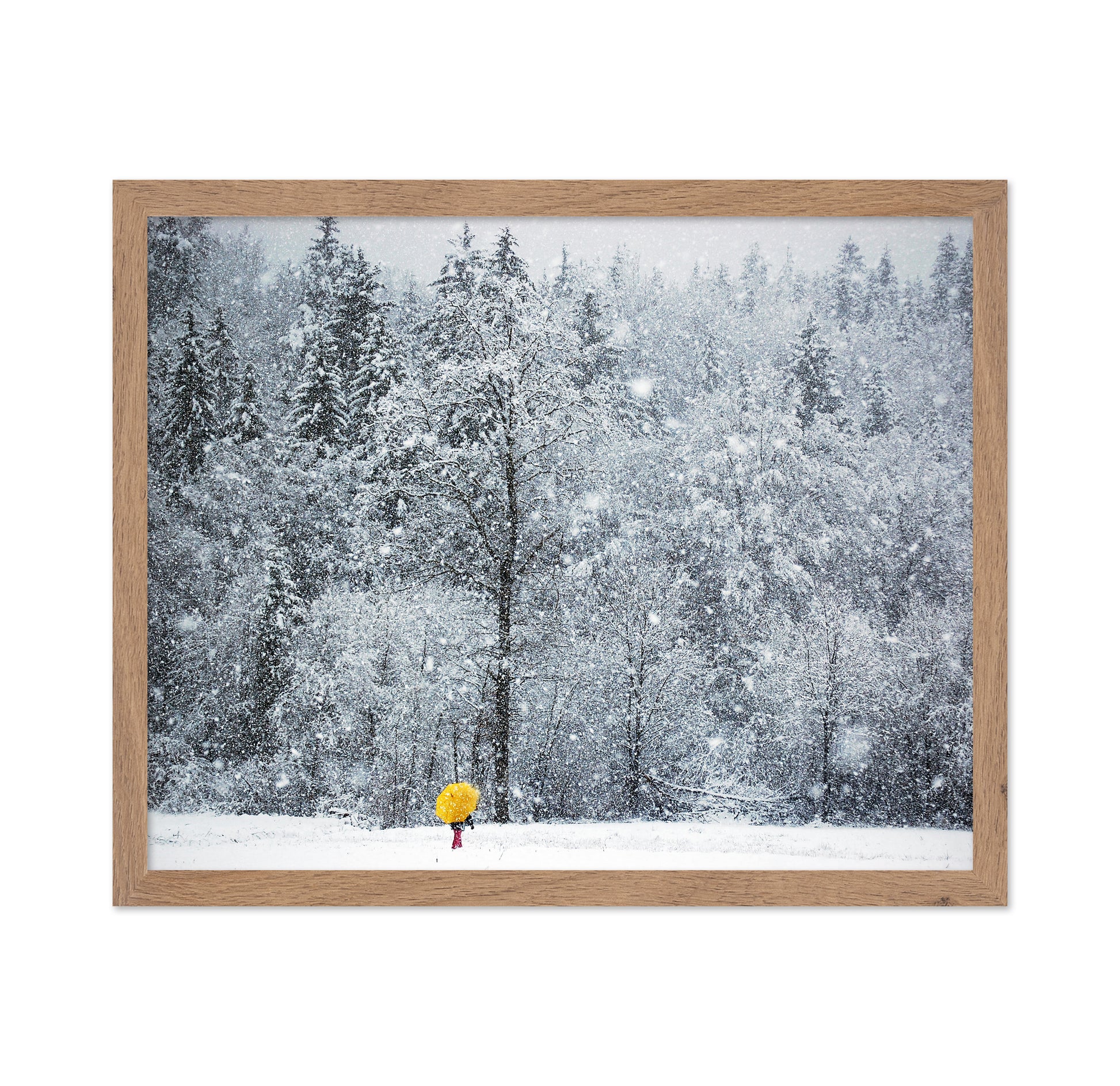 Let It Snow