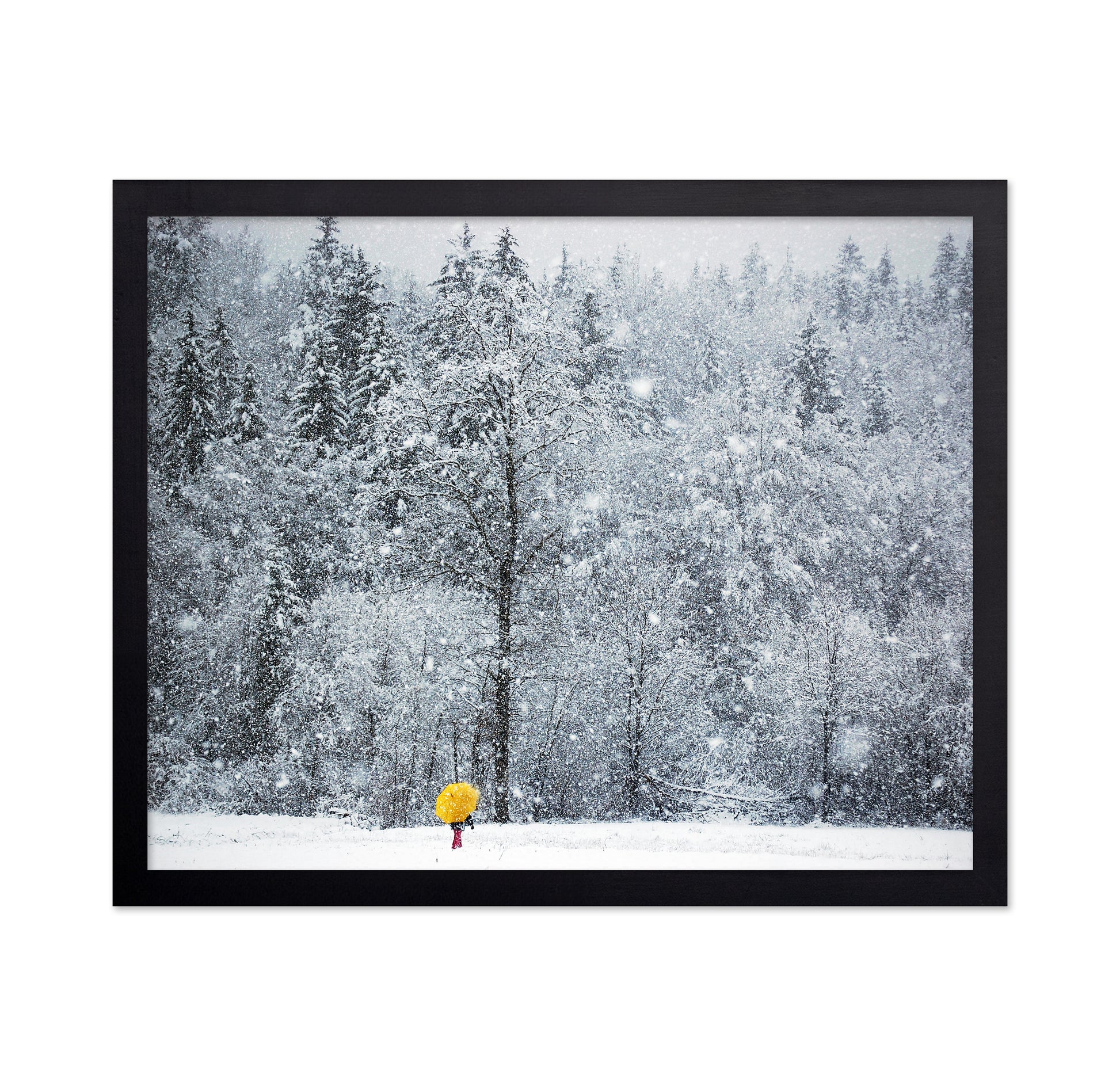 Let It Snow