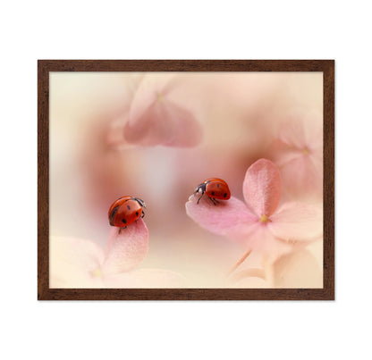 Ladybirds On Pink Hydrangea