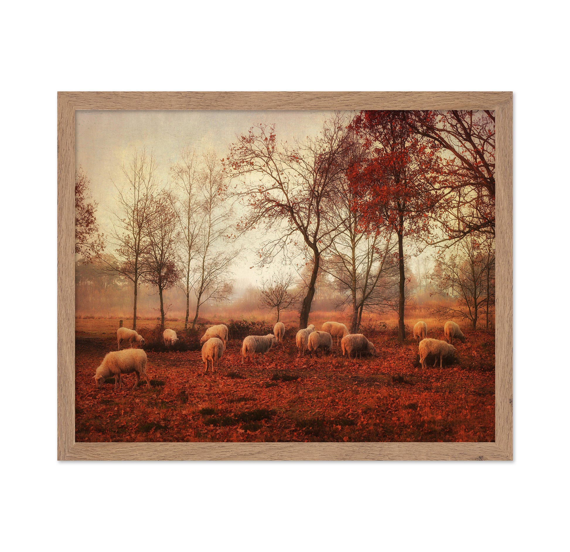 Last Days of Autumn