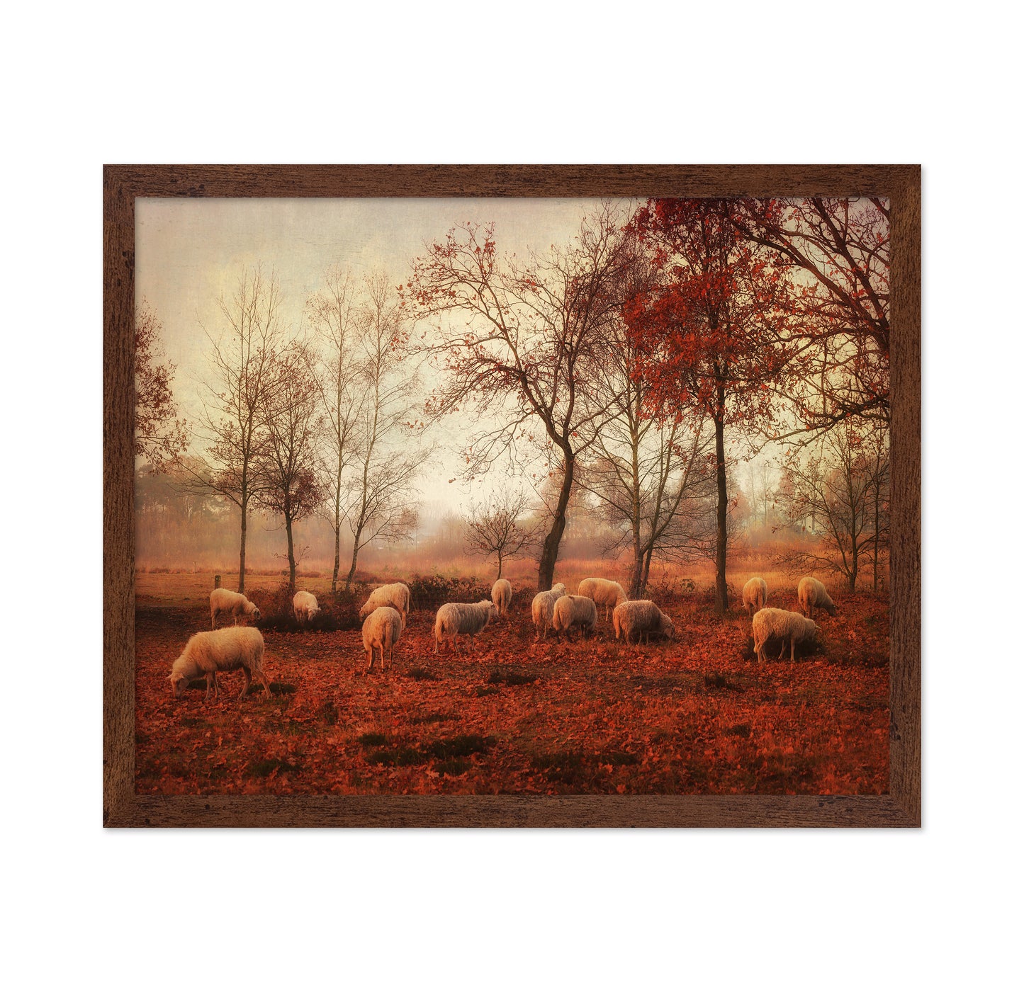 Last Days of Autumn