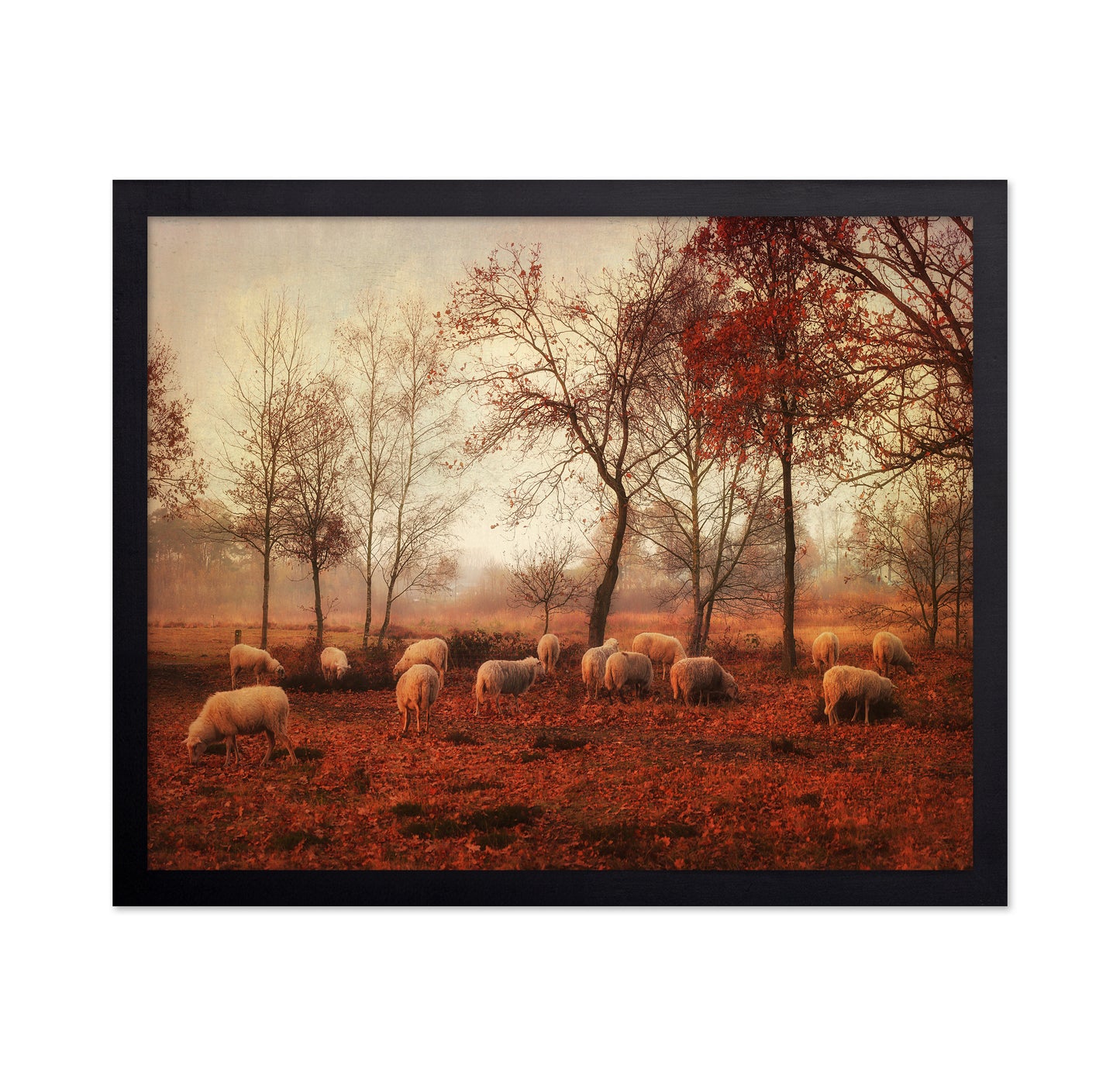 Last Days of Autumn