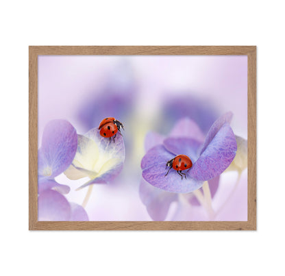 Red and Purple