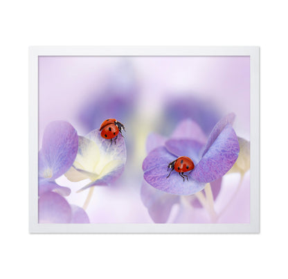 Red and Purple