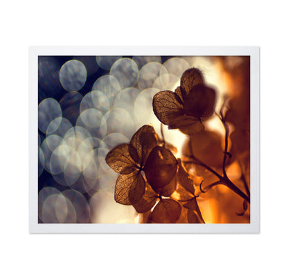 A Beautiful Light