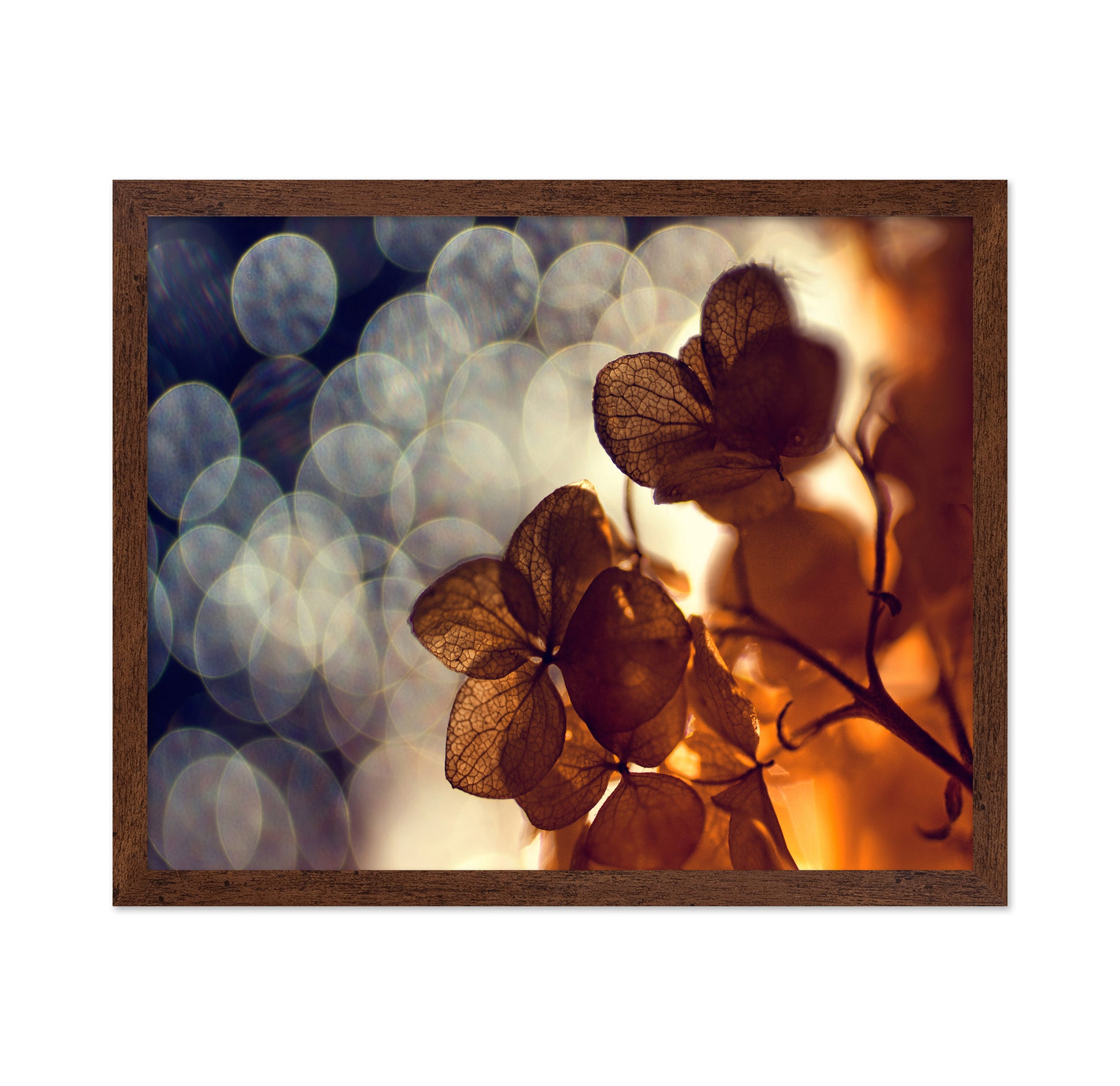 A Beautiful Light