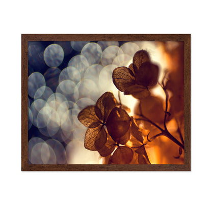 A Beautiful Light