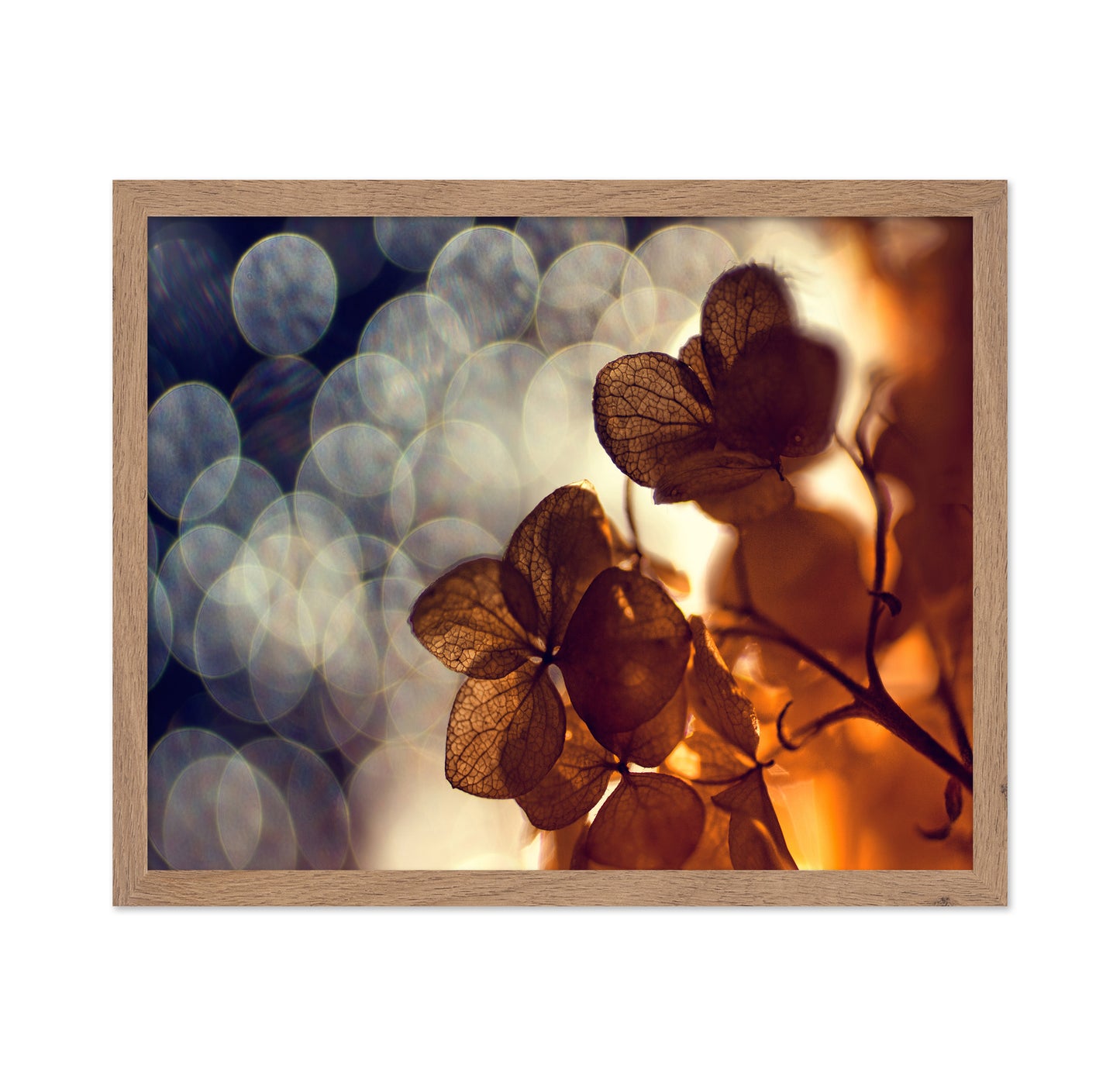 A Beautiful Light