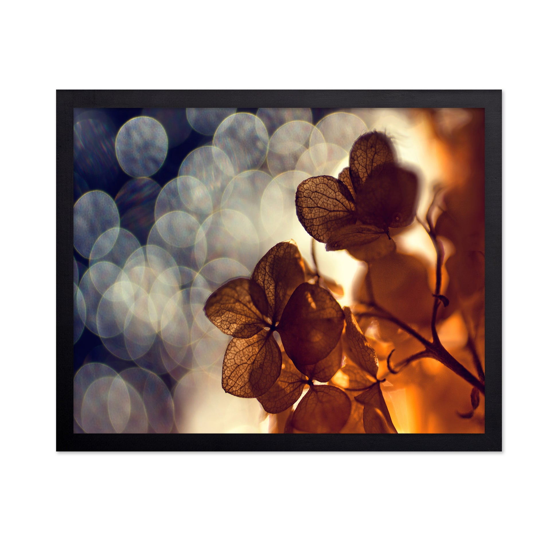 A Beautiful Light