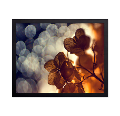 A Beautiful Light