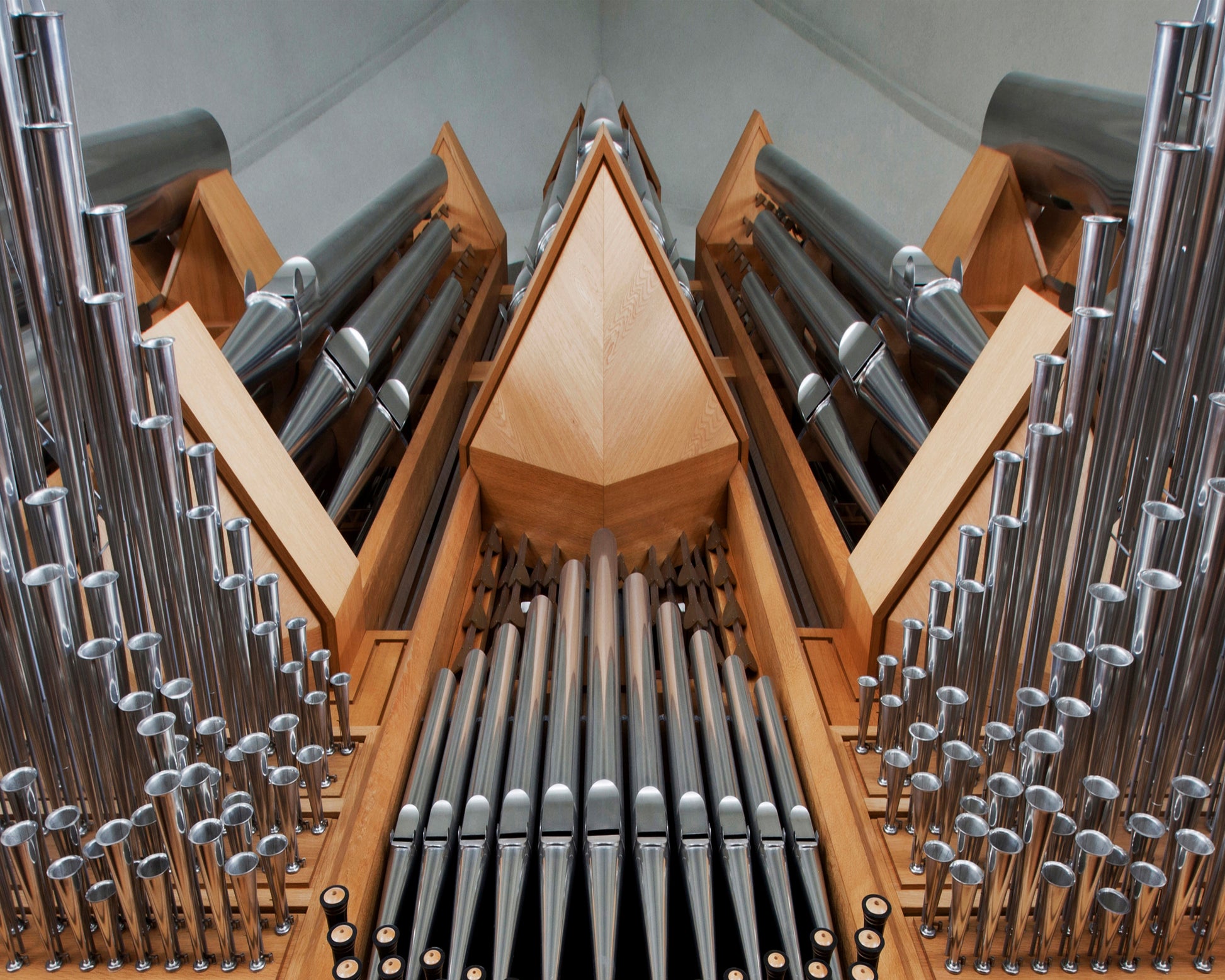 Organ