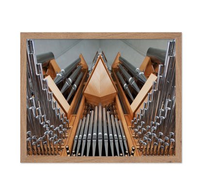 Organ