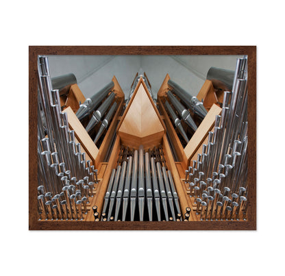 Organ
