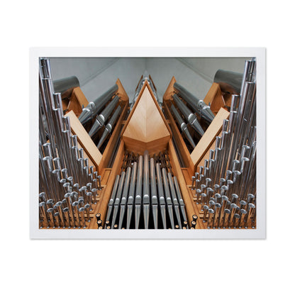 Organ
