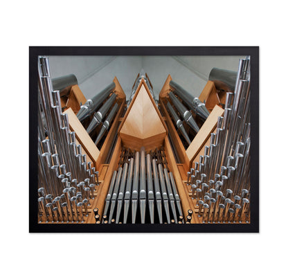 Organ