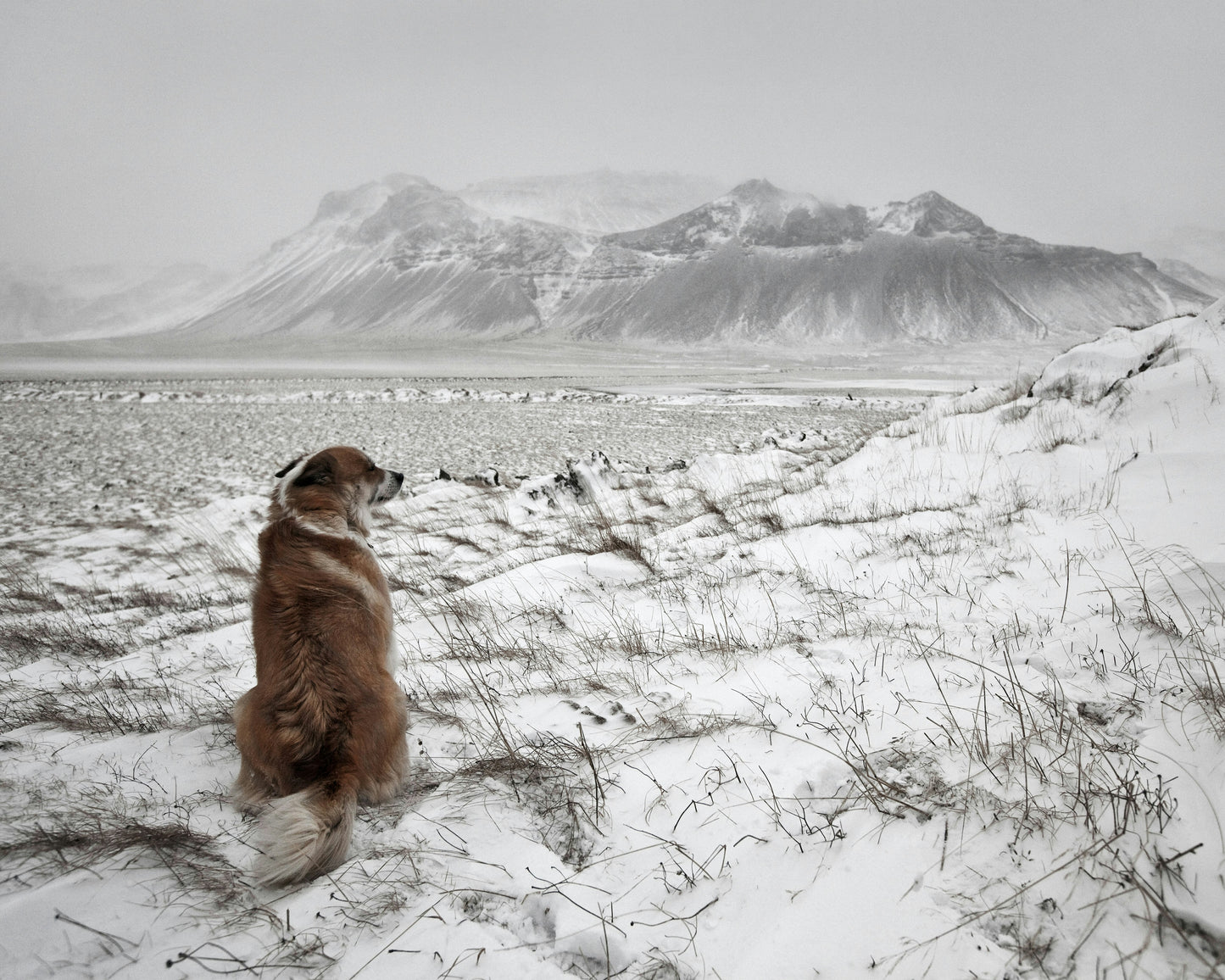 Snowstorm