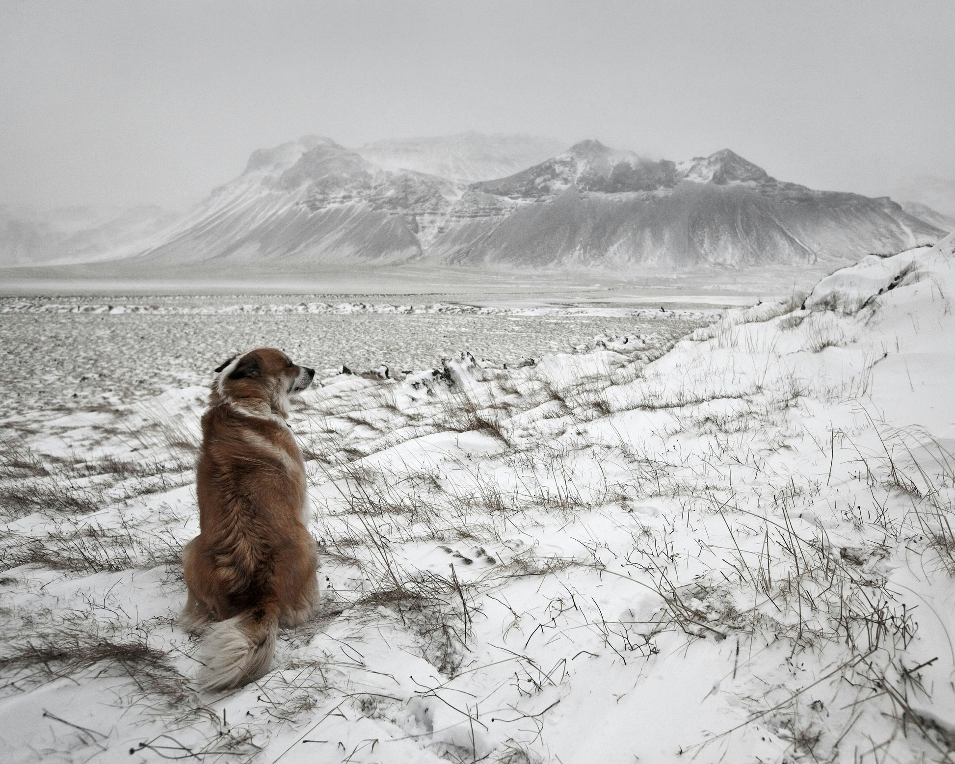 Snowstorm