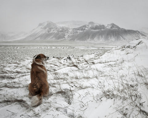 Snowstorm